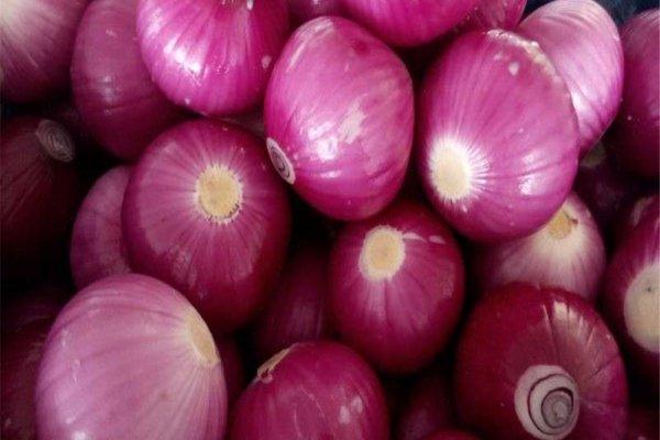 Кракен как войти через тор